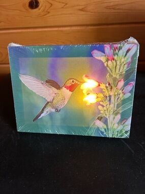 Hummingbird Floral Light Canvas Wall Art / Can Hang or Stand